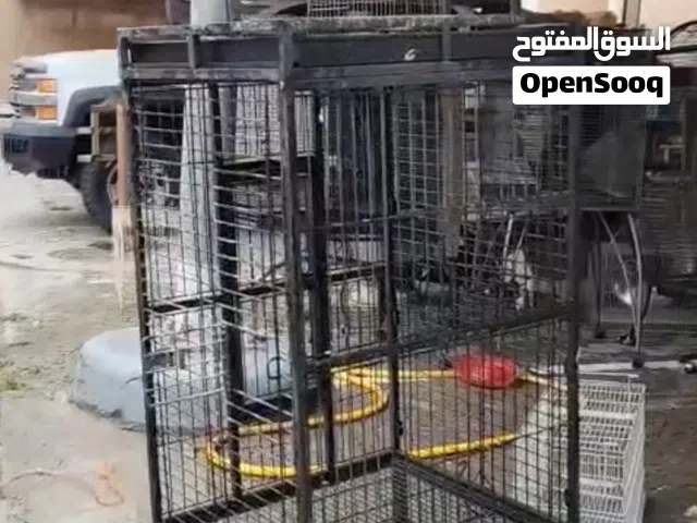 قفص كبير للطيور الناطقة والكبيرة
