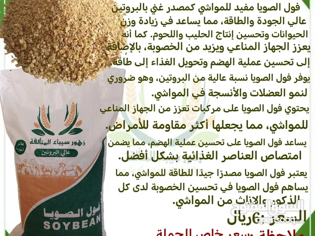 فول الصويا