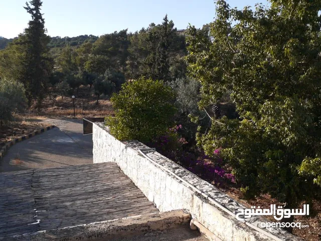 3 Bedrooms Farms for Sale in Jerash Al-Majdal