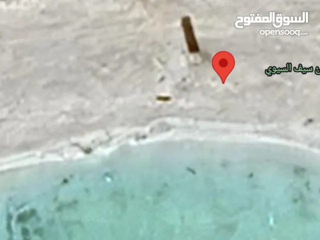 رخصة شاطئ بحر للبيع مع كافيتري