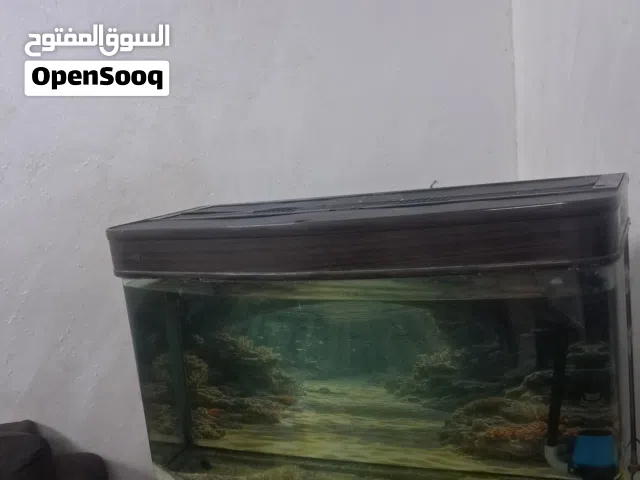 حوض سمك اجنبي jebo للبيع