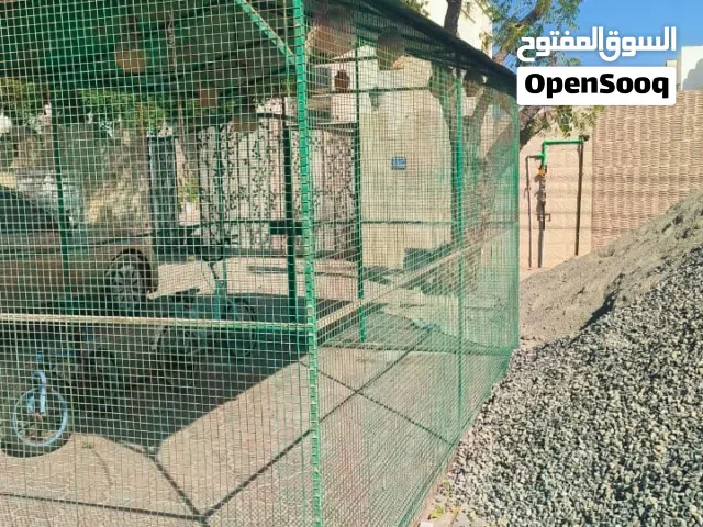 قفص طيور للبيع