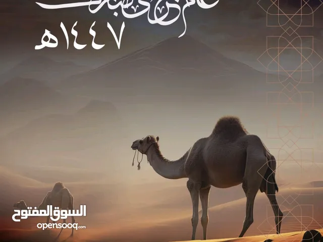 صيانة جميع انواع المولدات