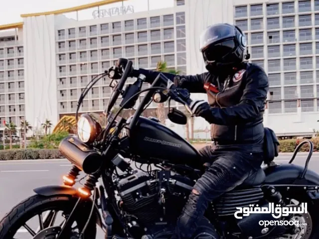 Harley Davidson Other 2010 in Al Ain
