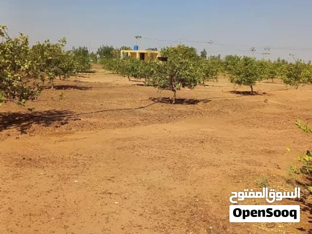 Farm Land for Sale in Khartoum Omdurman