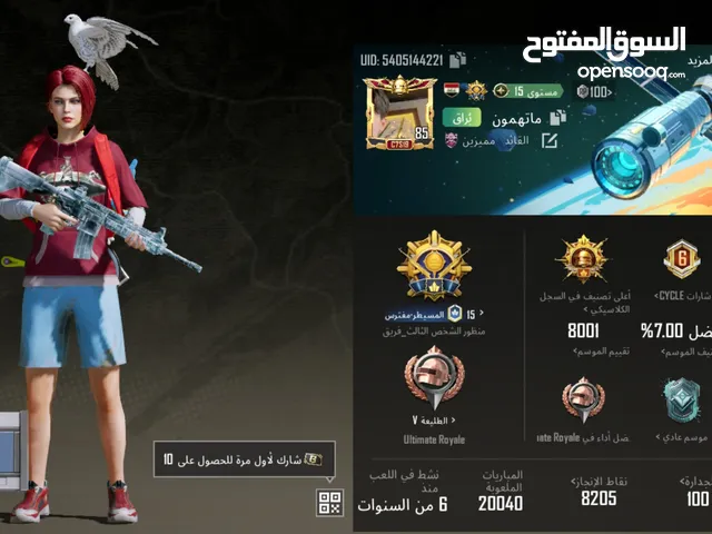 Pubg Accounts and Characters for Sale in Basra