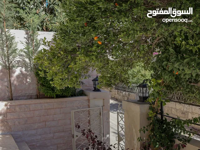 Furnished Daily in Amman 3rd Circle