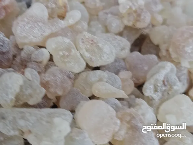 اللبان الذكر الحوجري للعلاج والاكل والشرب. بفوايده المتعدده.. للاستخدام اليومي