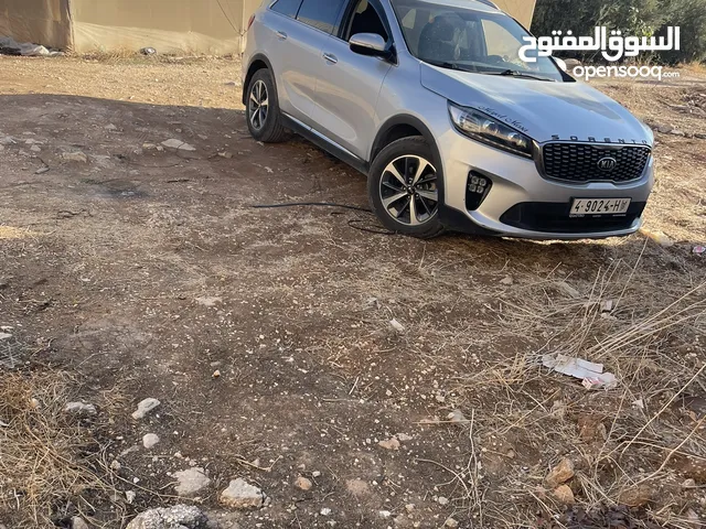 Used Kia Sorento in Tubas