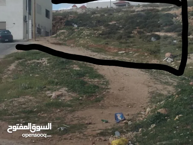 Residential Land for Sale in Amman Abu Alanda