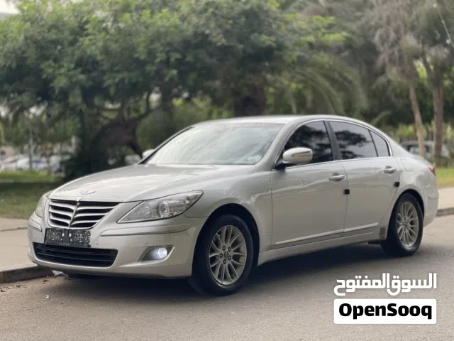 2010 Genesis Other