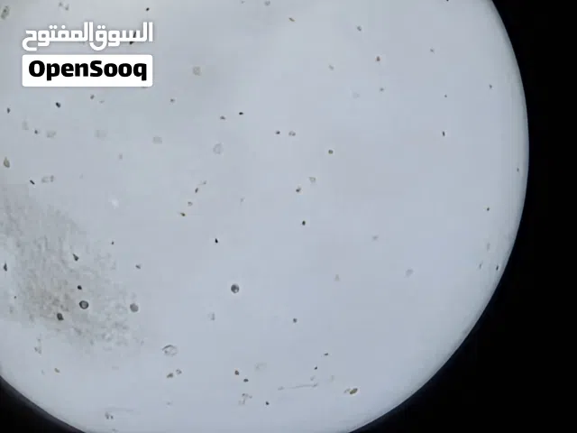 فيوجن 2018 ممشى 60 الف  كيلو