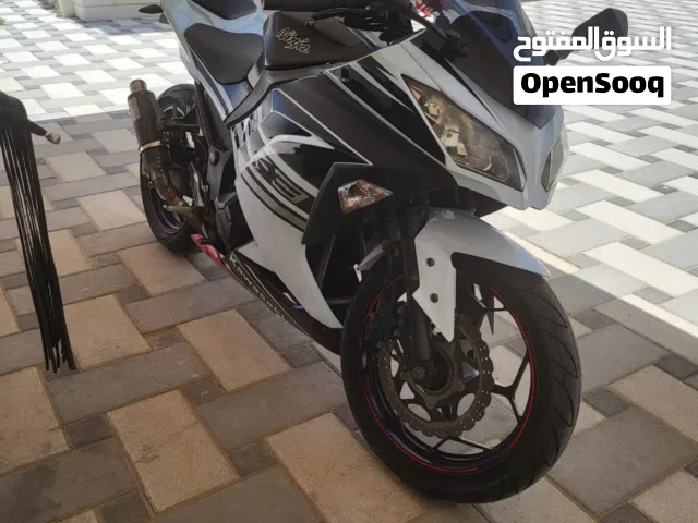 2013 كاواساكي Ninja 300