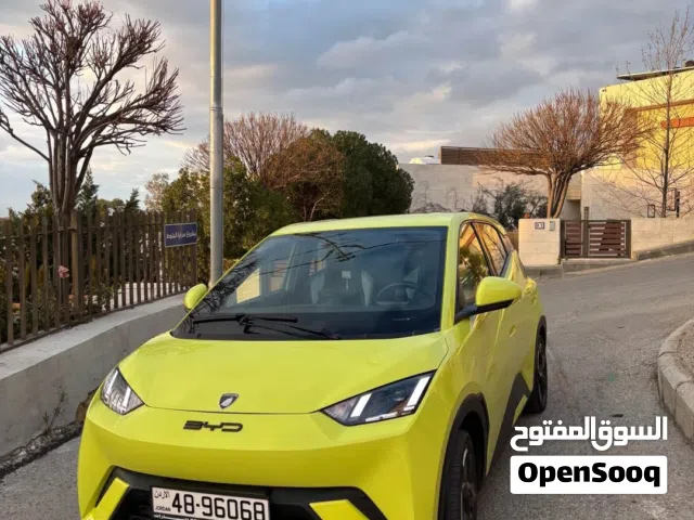 2023, بي واي دي, سيجول