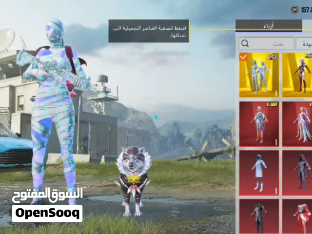 Pubg Accounts and Characters for Sale in Karbala