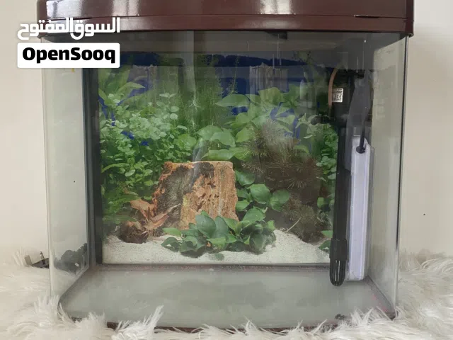 حوض سمك شبه جديد