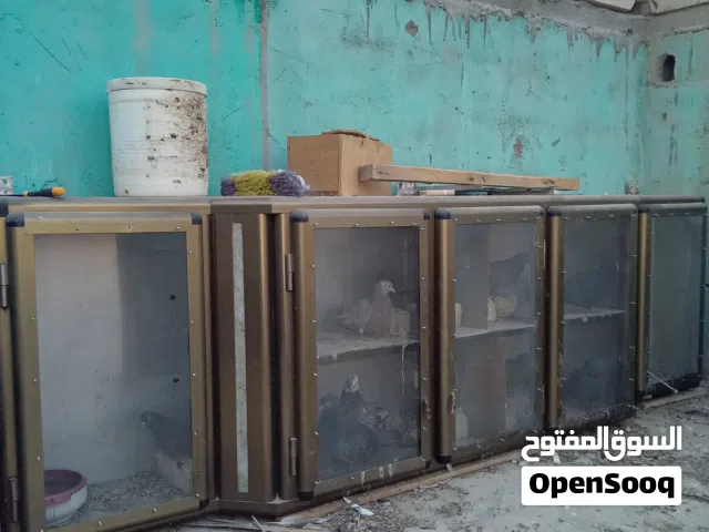 السلام عليكم خانات لبيع ام سته تابع الوصف جوه