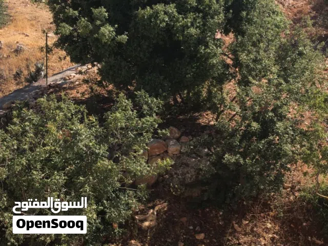 Residential Land for Sale in Irbid Arhaba