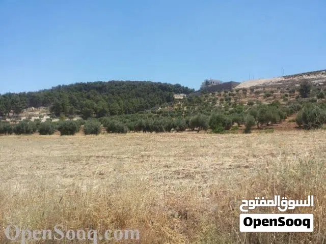 اراظي للبيع معظم مناطق اربد ايدون