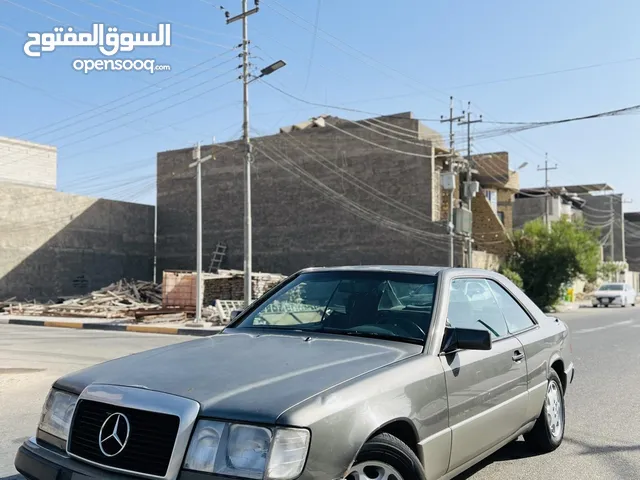 مرسيدس دب الوصف مهم