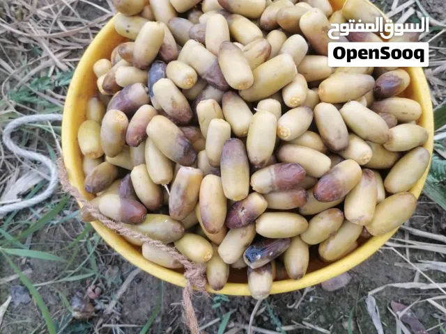 رطب ممتاز كل يوم يتوفر بطلب