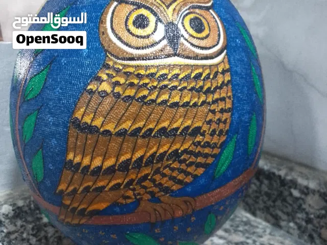 نقش وتنقيط عابيض النعام