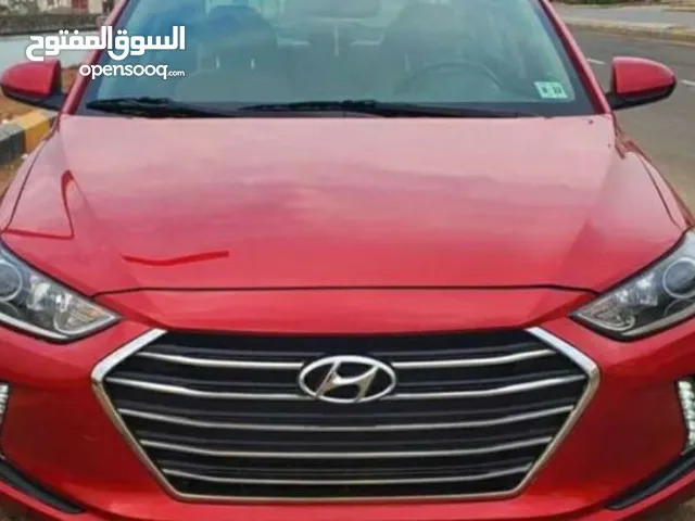 Hyundai Elantra in Amman