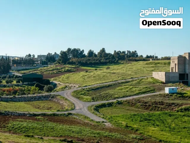 اراضي مميزة سكن ب في بلعاس قرب مطعم زوار و x village