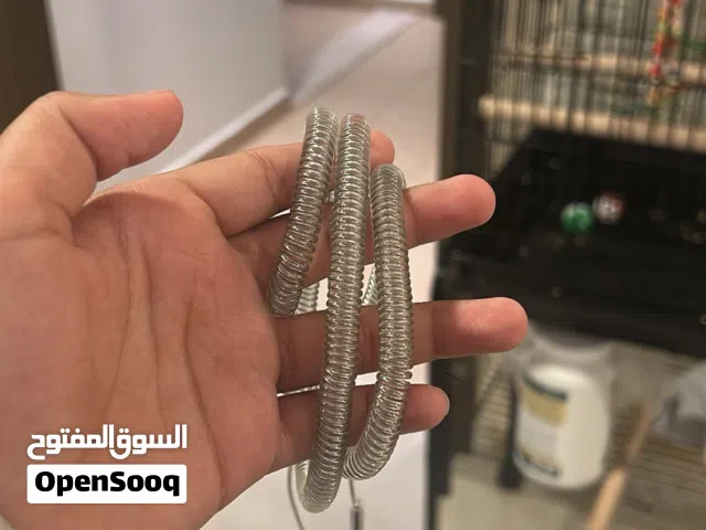 بغبغا لوري اليف و هدد داخلي و يرقص احيانن ولعوب مره و معاه اكلا و العب و قفص كبير و حبل هارنس