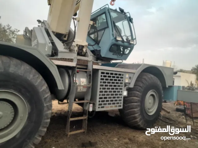 قروف صحراوي موديل 2012