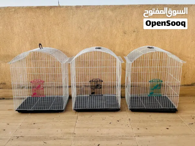 اقفاص كوكتيل بحالة جيدة و مستلزمات القفص