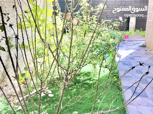 شقة مع حديقة ومدخل خاص ومع العفش