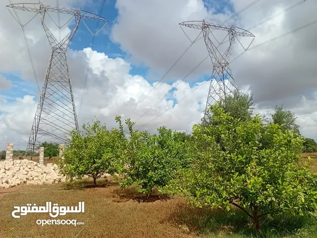 Mixed Use Land for Sale in Zawiya Western Zawiya