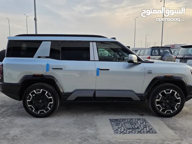 warranty 10 years—BYD 2025 Leopard 8 Flagship