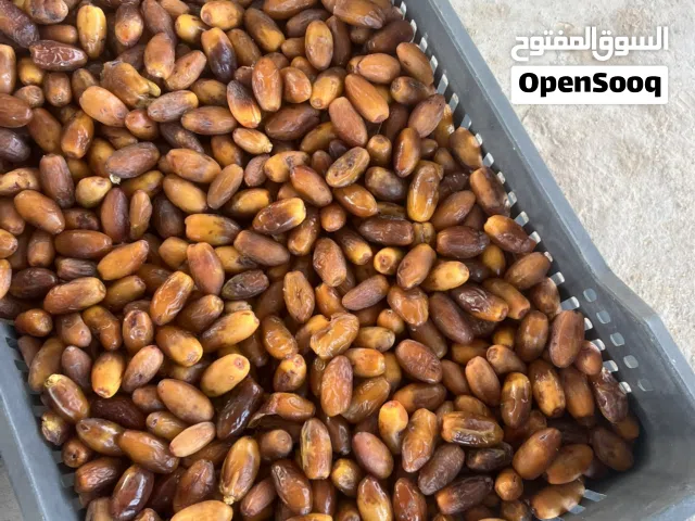 دقلة درجة اولي