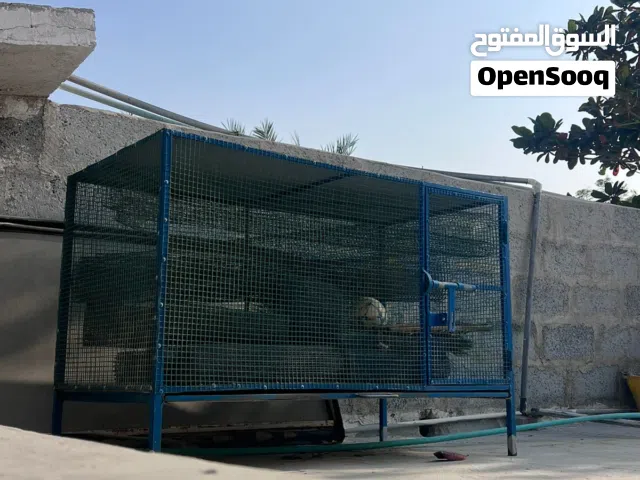 قفص حيوانات كبير جدا