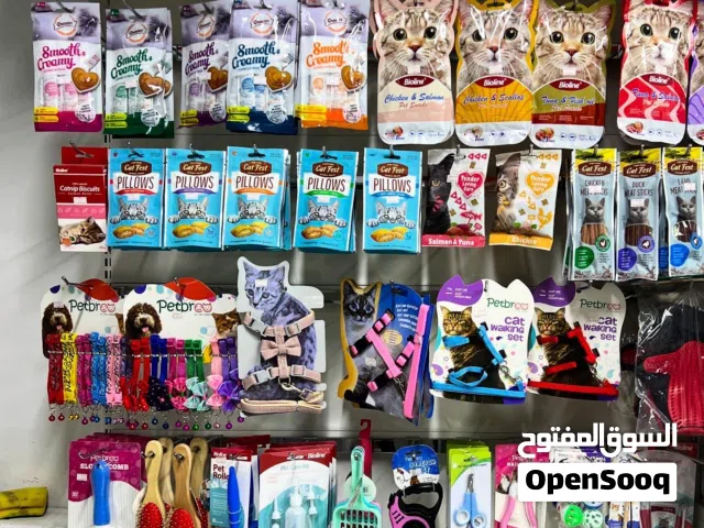 طعام قطط و طيور