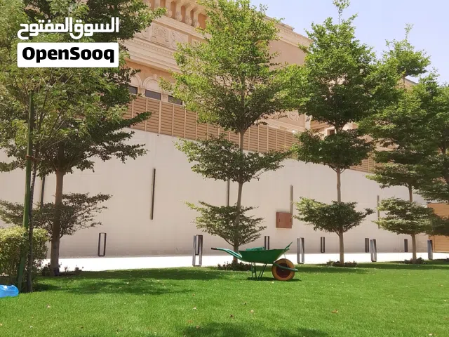 Professional Landscape & Garden Maintenance Services  خدمات تنسيق وصيانة الحدائق الاحترافية