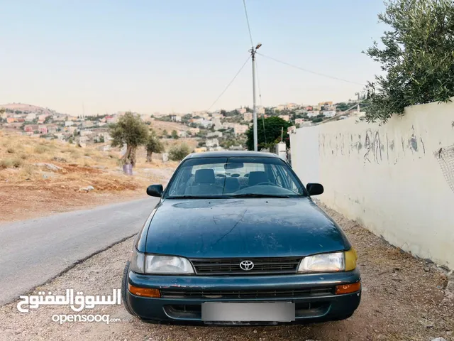 تويوتا كورولا