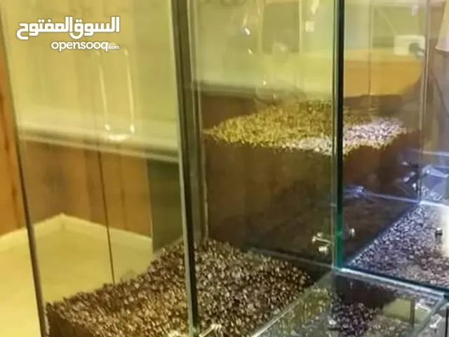 احواض او فترينات قهوة