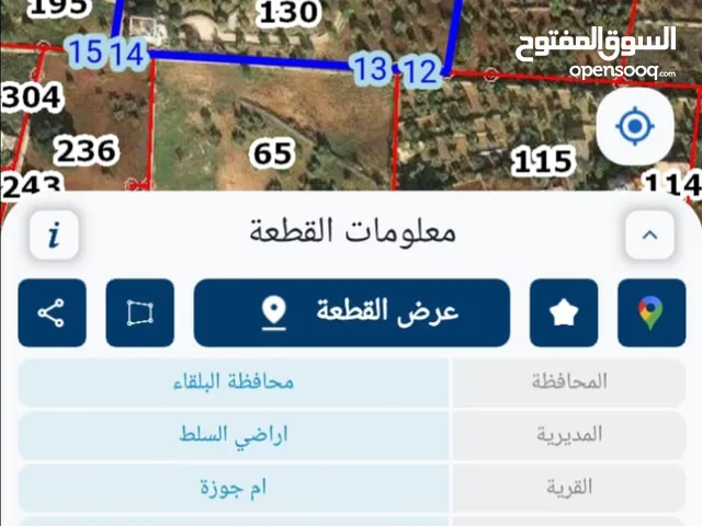 ارض للبيع / مزرعة مع اطلالة مميزة / منطقة قصور/منطقة الوسية -السلط / مساحة 13دونم/ من المالك مباشرة
