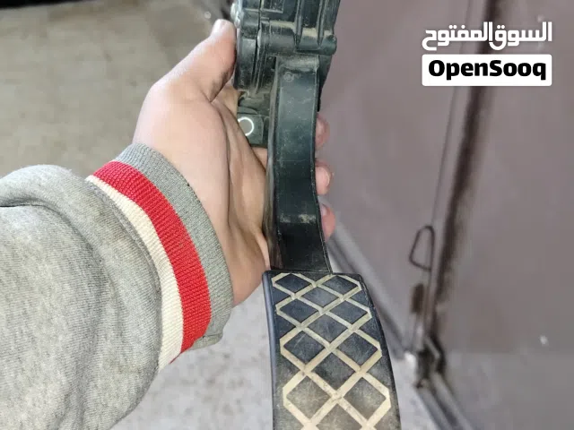 بيدال داكسيراتور فابيا 2013