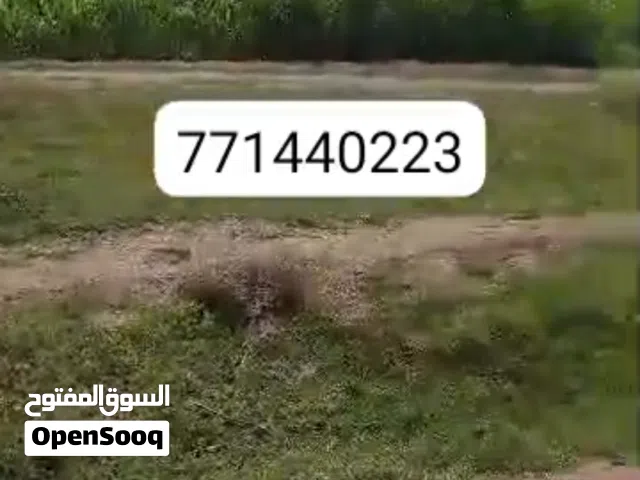 Farm Land for Sale in Al Hudaydah Other