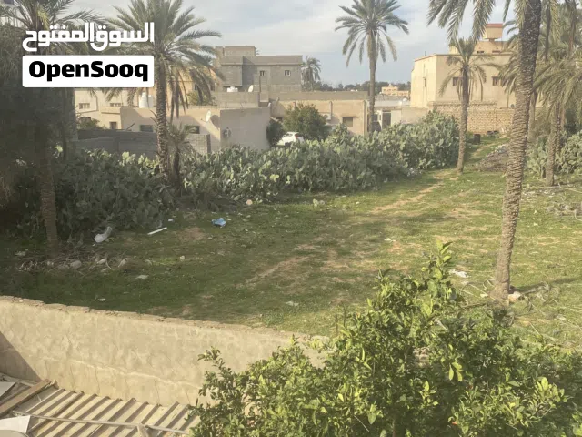 200 m2 3 Bedrooms Apartments for Rent in Tripoli Other