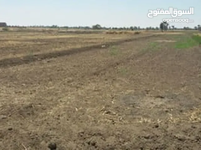 طوباس بل قرب من بنايت الجامعه الجديده مطله عله تياسير طوباس