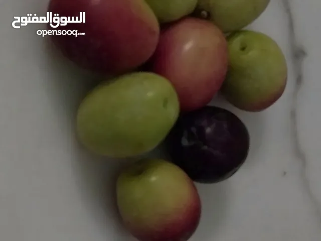 زيتون طاولة خشين للبيع عال العال
