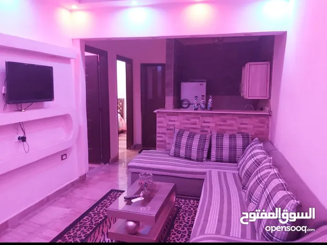 73 m2 2 Bedrooms Apartments for Rent in Giza Sheikh Zayed
