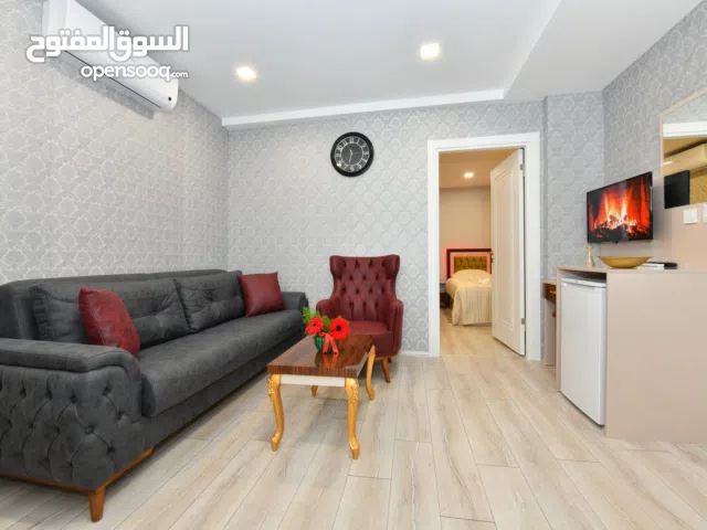 Furnished Daily in Istanbul Şişli