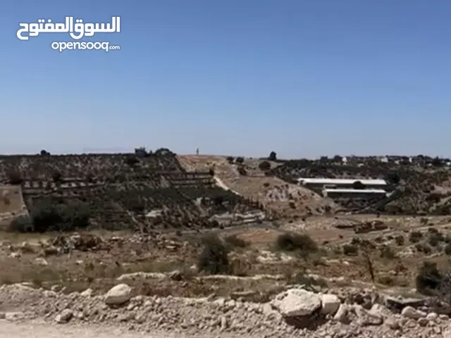 Residential Land for Sale in Amman Al Bassah