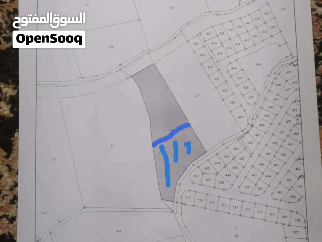 7 دنم للبيع